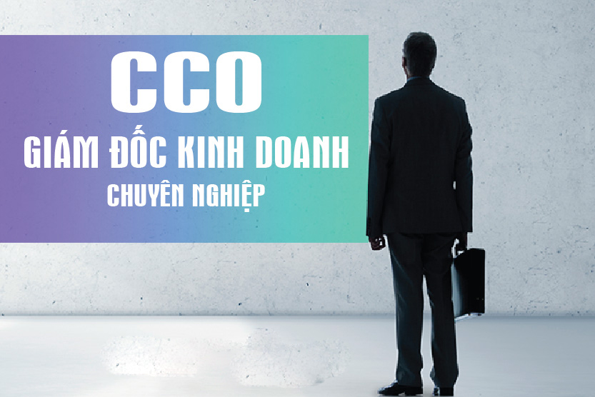 giam-doc-kinh-doanh-chuyen-nghiep-cco-online