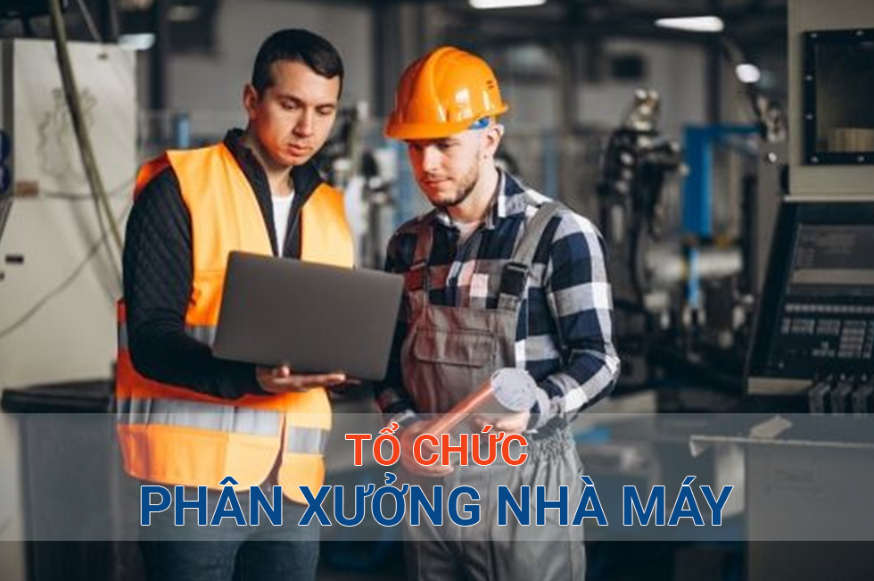 to-chuc-phan-xuong-nha-may