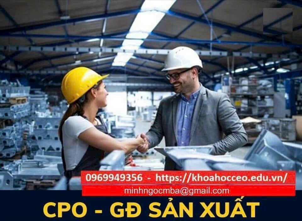 cpo-giam-doc-san-xuat-chuyen-nghiep